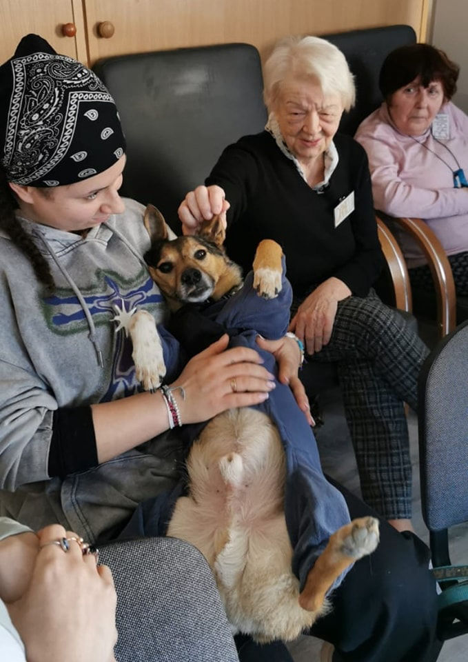 dogoterapia
